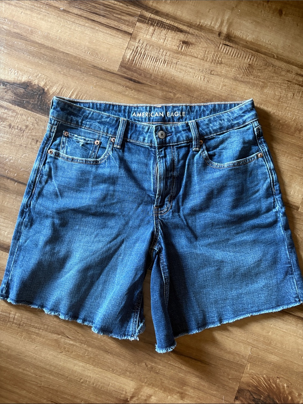 American Eagle Outfitters Blue Denim Jean Shorts